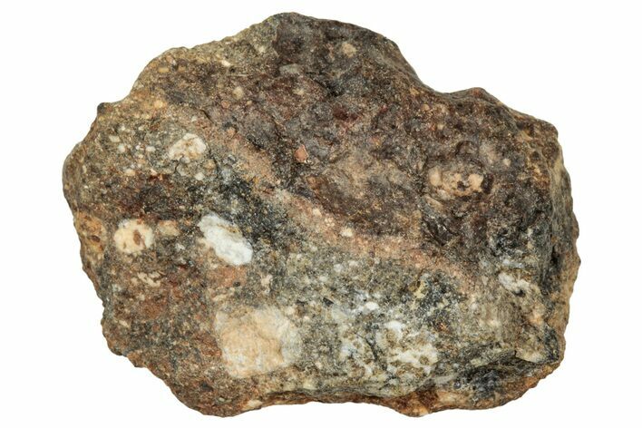 Howardite Meteorite ( g) - Bechar #348293